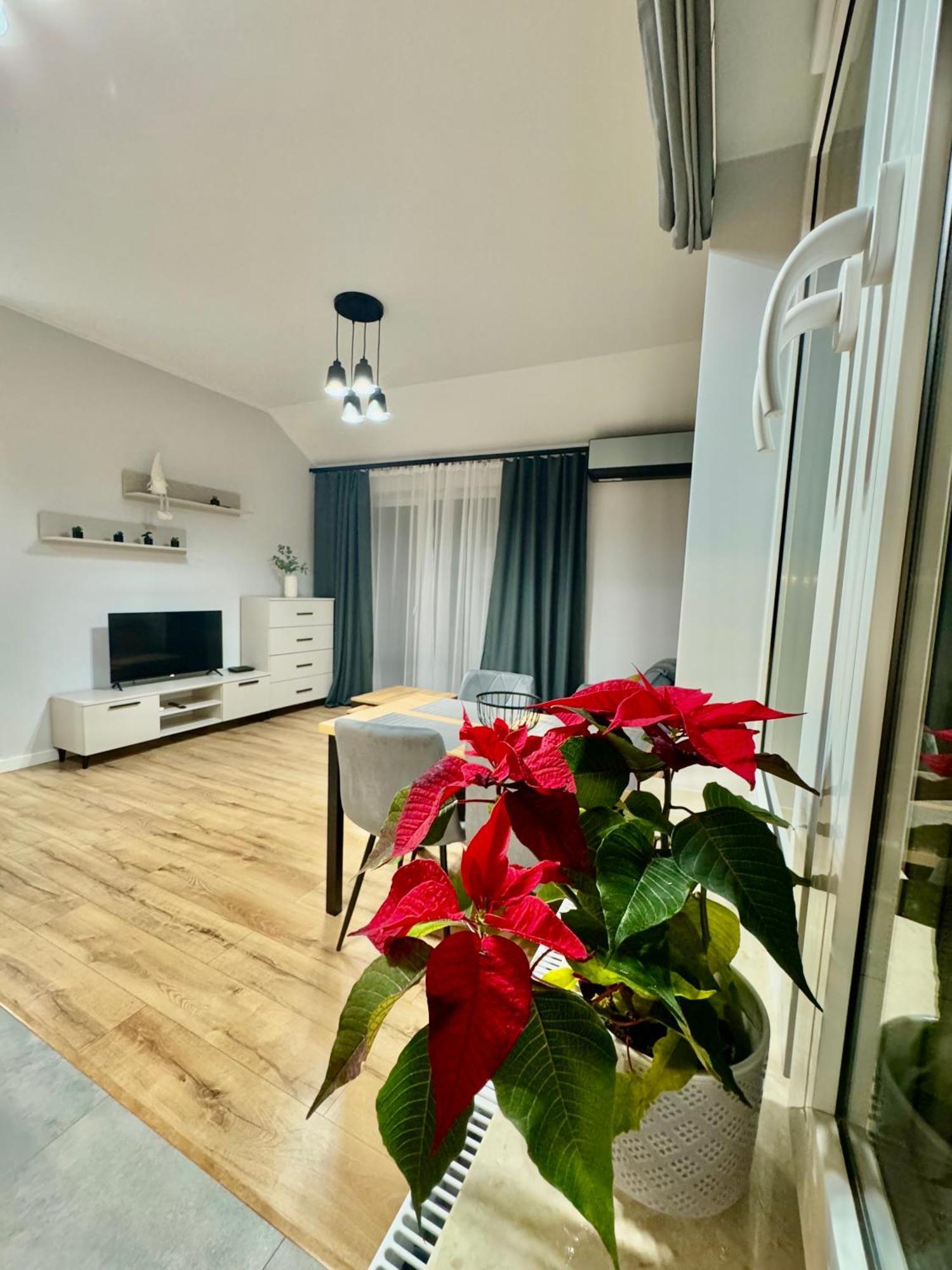 Apartament Olenka Busko-Zdrój Exteriör bild